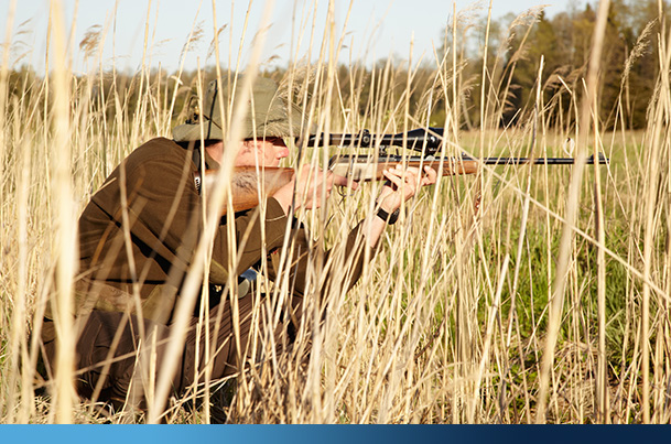 wildlife surveillance man hide