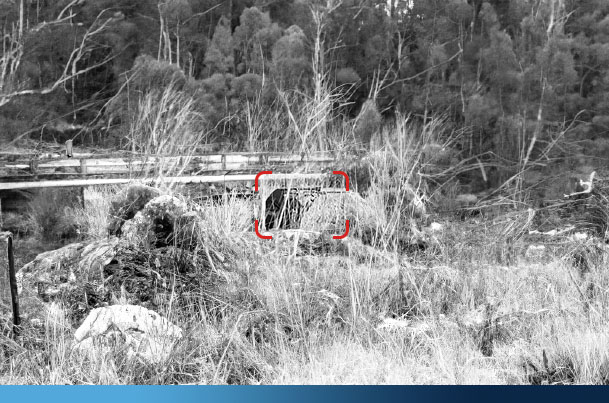 wildlife surveillance man hide detection